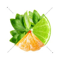Shower gel - W186 Inspired by LIME BASIL & MANDARIN